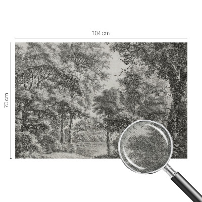 Samolepiaca fototapeta Lesná scenéria