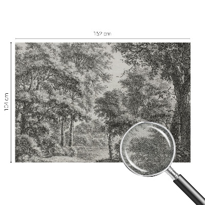 Samolepiaca fototapeta Lesná scenéria