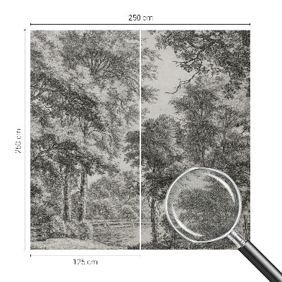 Samolepiaca fototapeta Lesná scenéria