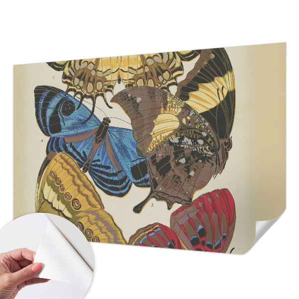 Tapeta do detskej izby Inšpirácia motýľmi