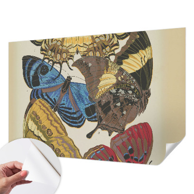 Tapeta do detskej izby Inšpirácia motýľmi