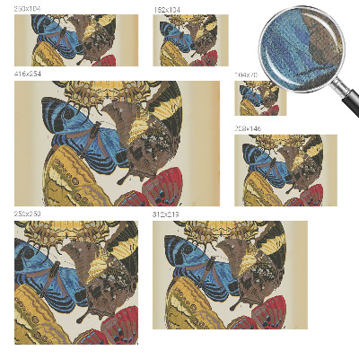 Tapeta do detskej izby Inšpirácia motýľmi