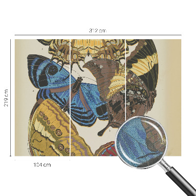 Tapeta do detskej izby Inšpirácia motýľmi