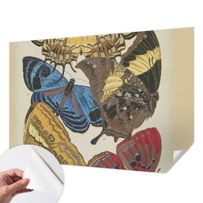 Tapeta do detskej izby Inšpirácia motýľmi