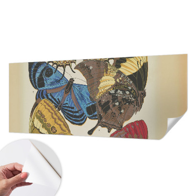 Tapeta do detskej izby Inšpirácia motýľmi