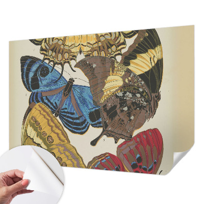 Tapeta do detskej izby Inšpirácia motýľmi