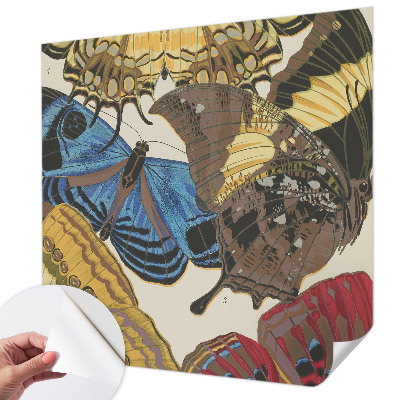 Tapeta do detskej izby Inšpirácia motýľmi