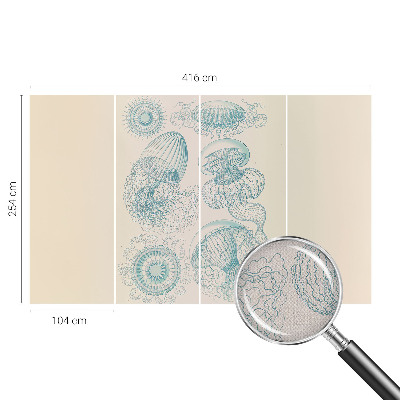 Fototapeta pre chlapca Morské medúzy