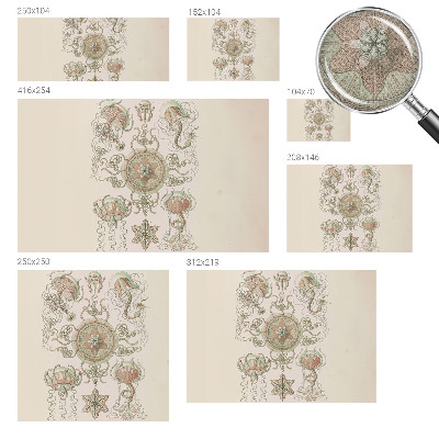 Fototapeta pre dievča Podvodný svet