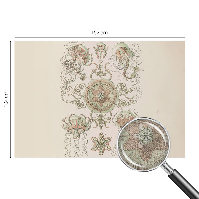 Fototapeta pre dievča Podvodný svet