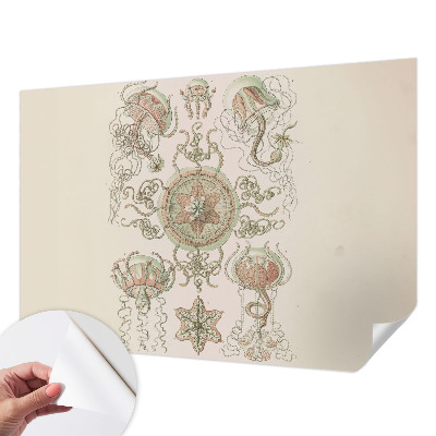 Fototapeta pre dievča Podvodný svet