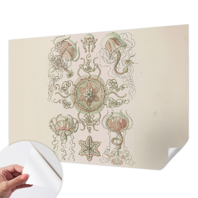 Fototapeta pre dievča Podvodný svet