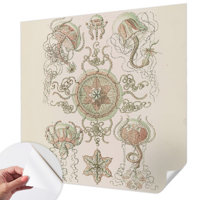 Fototapeta pre dievča Podvodný svet