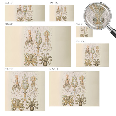 Tapeta do obývačky Morský život