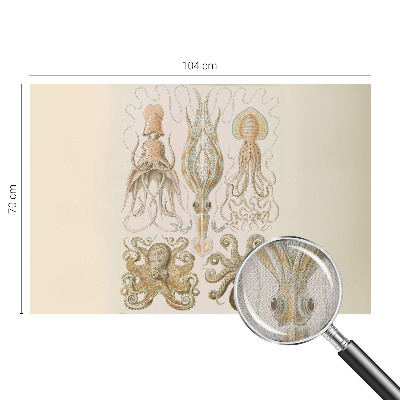 Tapeta do obývačky Morský život