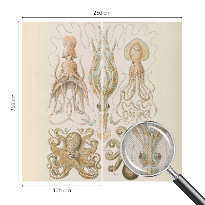 Tapeta do obývačky Morský život