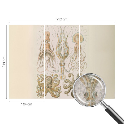 Tapeta do obývačky Morský život