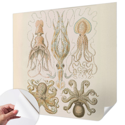 Tapeta do obývačky Morský život