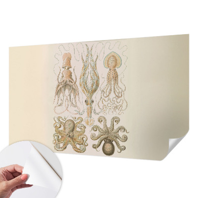 Tapeta do obývačky Morský život