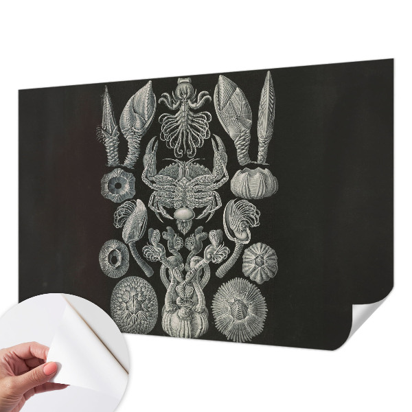 Moderná tapeta na stenu Podvodné formy