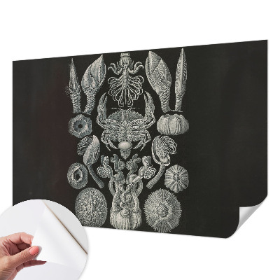 Moderná tapeta na stenu Podvodné formy