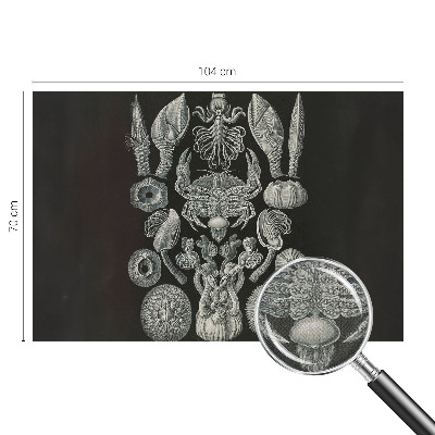 Moderná tapeta na stenu Podvodné formy