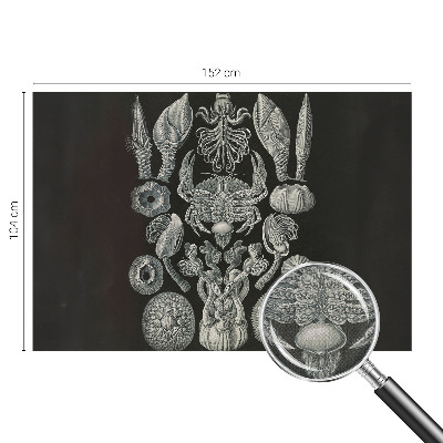 Moderná tapeta na stenu Podvodné formy