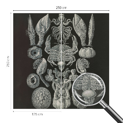 Moderná tapeta na stenu Podvodné formy