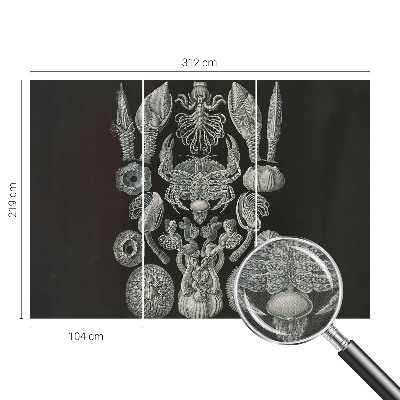 Moderná tapeta na stenu Podvodné formy