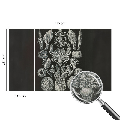 Moderná tapeta na stenu Podvodné formy