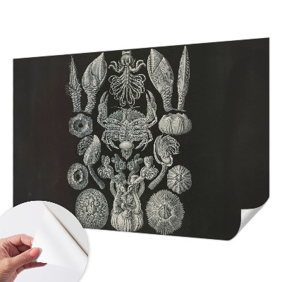 Moderná tapeta na stenu Podvodné formy