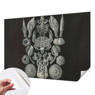 Moderná tapeta na stenu Podvodné formy