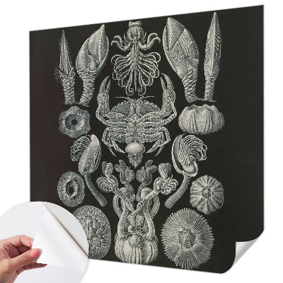 Moderná tapeta na stenu Podvodné formy