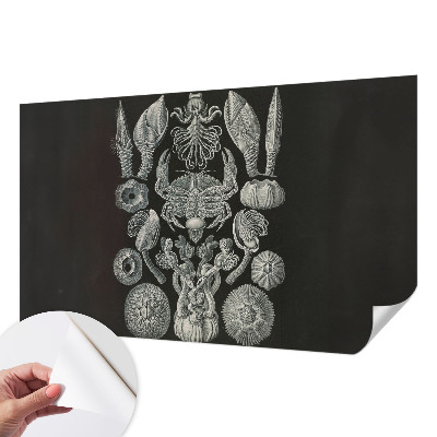 Moderná tapeta na stenu Podvodné formy