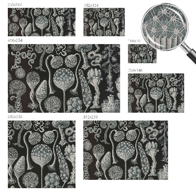 Samolepiaca fototapeta Magické rastliny