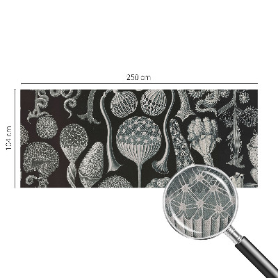 Samolepiaca fototapeta Magické rastliny