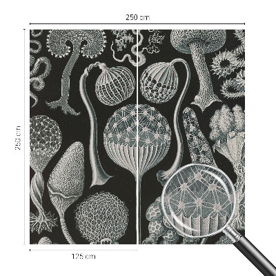 Samolepiaca fototapeta Magické rastliny