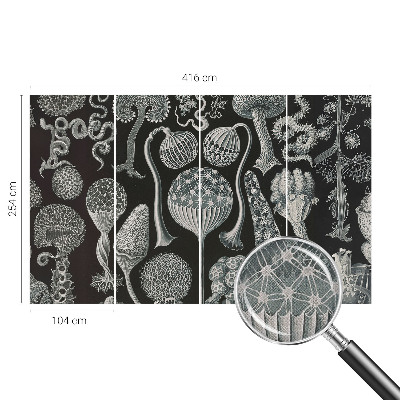 Samolepiaca fototapeta Magické rastliny