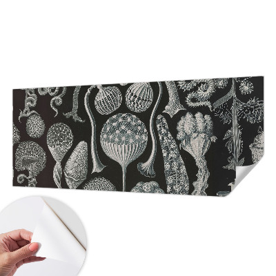 Samolepiaca fototapeta Magické rastliny