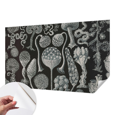 Samolepiaca fototapeta Magické rastliny