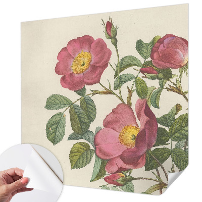 Samolepiaca tapeta Motív ruže