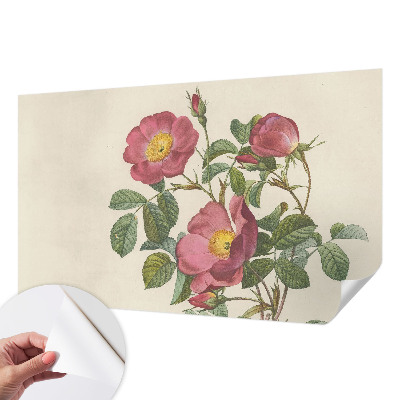 Samolepiaca tapeta Motív ruže