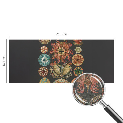 Tapety na stenu samolepiace Morské inšpirácie