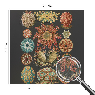 Tapety na stenu samolepiace Morské inšpirácie