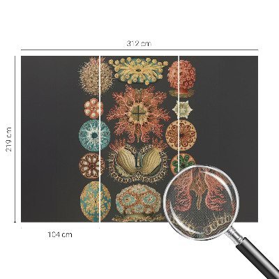 Tapety na stenu samolepiace Morské inšpirácie