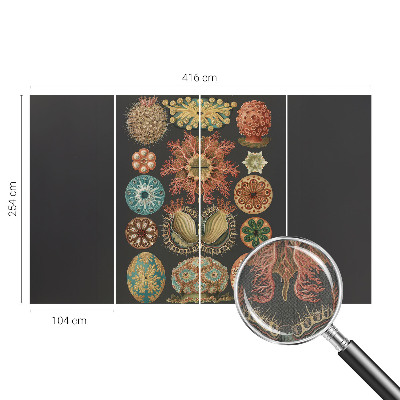 Tapety na stenu samolepiace Morské inšpirácie