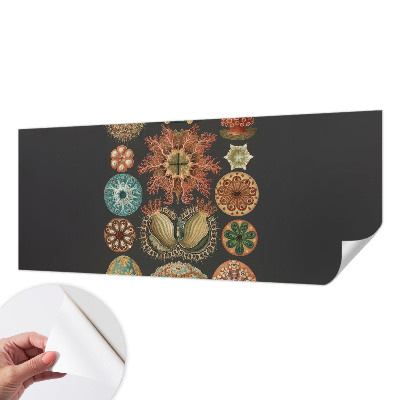 Tapety na stenu samolepiace Morské inšpirácie