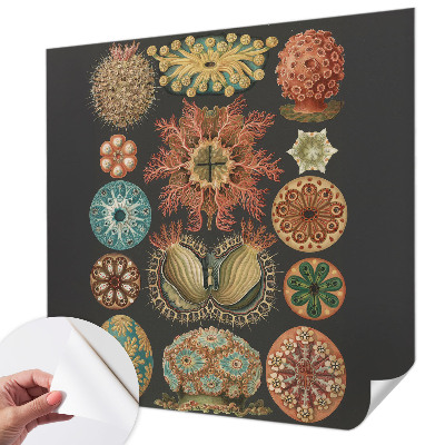 Tapety na stenu samolepiace Morské inšpirácie