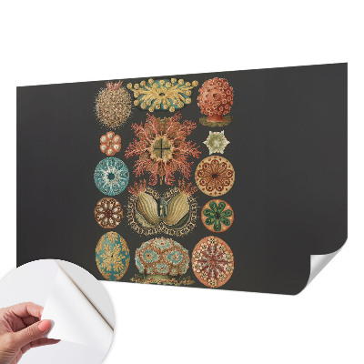 Tapety na stenu samolepiace Morské inšpirácie