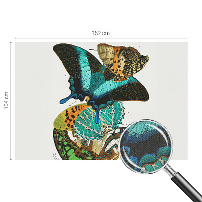 Samolepiaca fototapeta do obývačky Farebné motýle